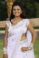 Juhi Hot Saree Photos